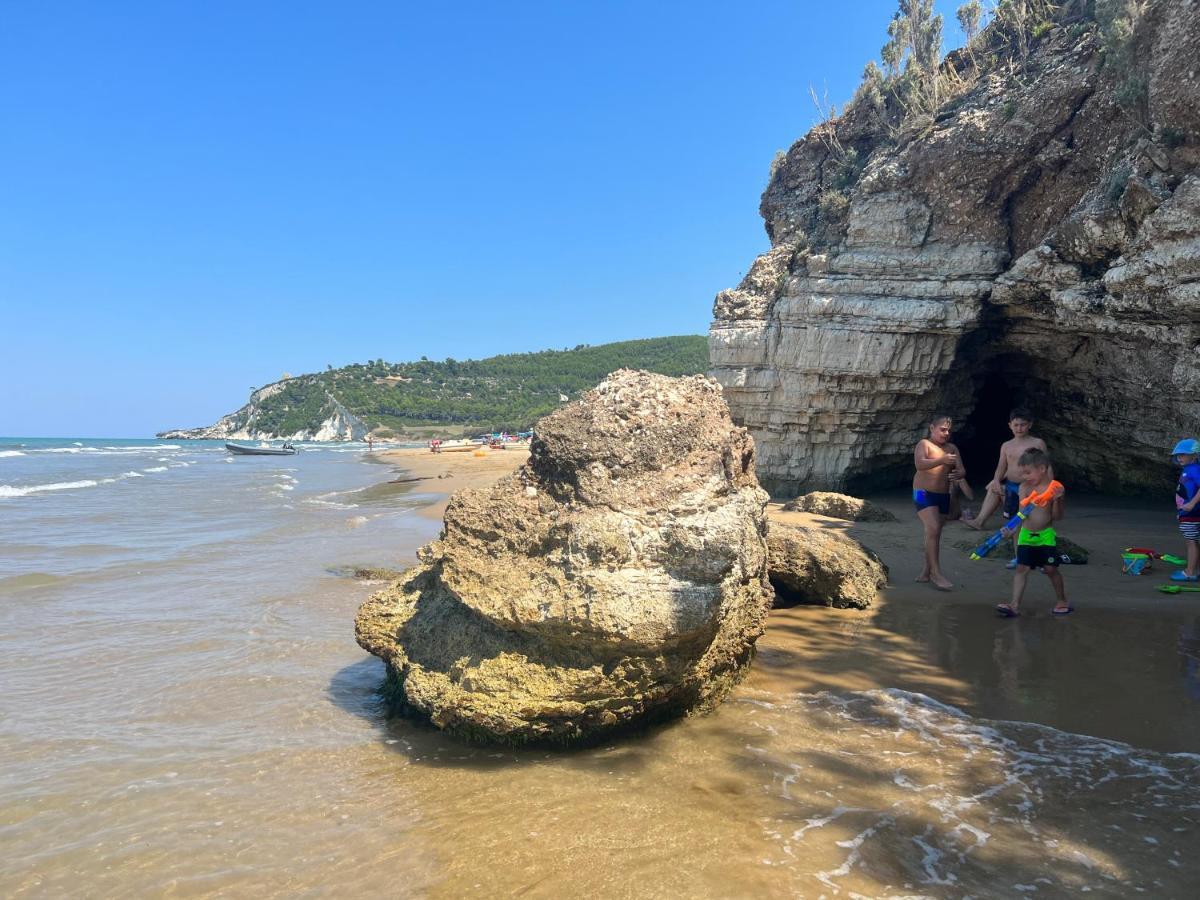 Casa Vacanze Refugium & Lounge Ferienwohnung 비코델가르가노 외부 사진
